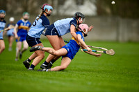 01.03.26 Dublin v Tipperary.Minor A Championship at O'Toole Pk.