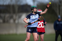 05.03.26 Dublin v Cork. Electric Ireland Minor A Championship at O'Toole Pk.
