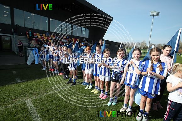 21.03.26 Dublin v Limerick.Centra National League D1B Camogie at Abbotstown. (1)