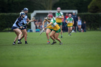 22.03.26 Dublin v Offaly.Leinster Camogie Minor A Shield Final at O'Toole Park