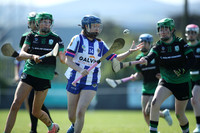 09.05.26 Dublin Camogie D 10 Feile Qualifiers. Lucan Sarsfields v Ballyboden St Endas at 12th Lock