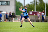 13.06.26 Hurling Masters All Ireland Championship.Tipperary v Dublin at  Borris-ILeigh GAA Tip