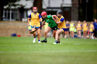 16.08.26 Na Fianna v Lucan Sarsfields. PTSB Dublin Senior 1 Camogie Championship at Na Fianna.