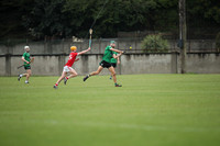 29.08.26 Nh Brid v Lucan Sarsfields. PTSB Dublin Senior 1 Hurling Championship at O'Toole Pk