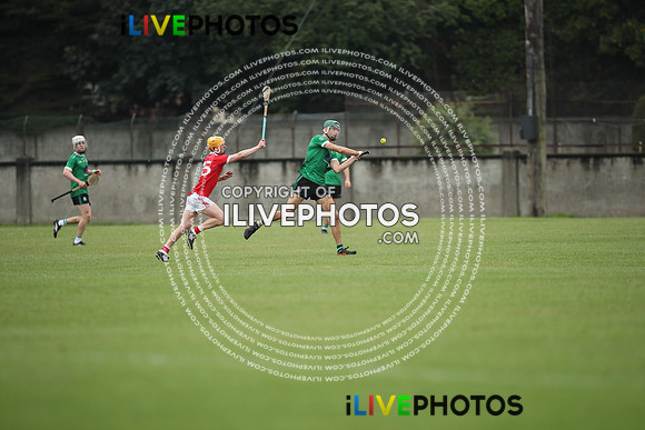 29.08.26 Nh Brid v Lucan Sarsfields. PTSB Dublin Senior 1 Hurling Championship at O'Toole Pk (102)
