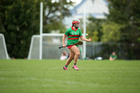 04.10.26 Dublin Camogie U16 Div 8 Championship. Lucan Sarsfields v Nh Barrog at the 12th Lock