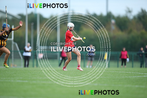 11.10.26 PTSB Dublin Camogie Club Intermediate Div 1 Final. Nh Mearnog v Nh Brid at Abbotstown. (26)
