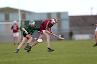Lucan Sarsfields v Raheny U.14C Hurling League  at 12th Lock 09.04.22