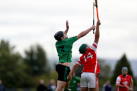 25.09.22 Dublin JHC 1 Lucan Sarsfields v Cuala at 12th Lock